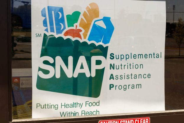 What Is SNAP